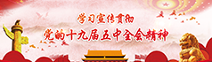 学习贯彻党的十九届五中全会精神